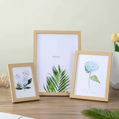 Wall-Mounted Picture Frames