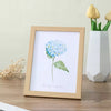 Wall-Mounted Picture Frames
