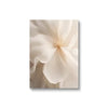 Scandinavian Poster with Beige Peony – Floral Art Print